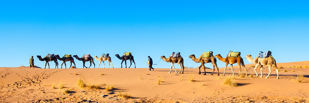 MOROCCO: Deluxe Moroccan Odyssey | 10 Days