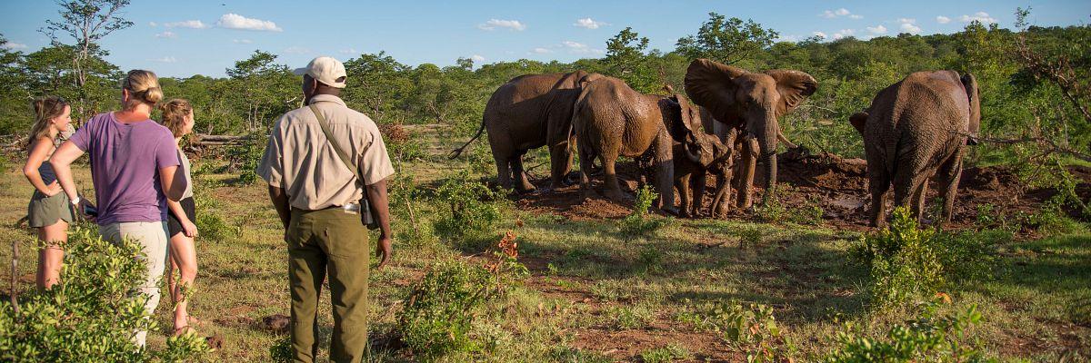 Save up to $1,300* Per Couple on Collette's Cape Town to Cairo Tour - background banner